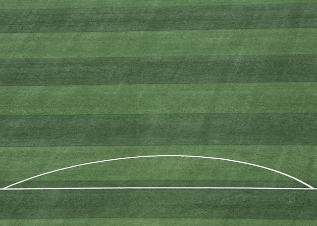 资格的球队 资格的球队