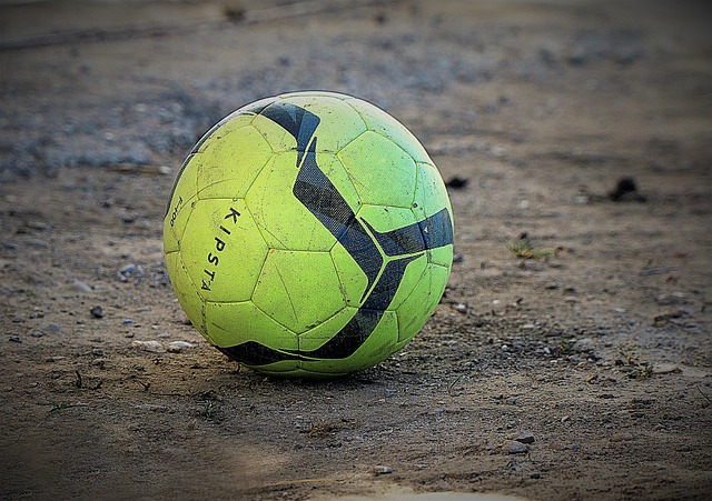 位的新主人 位的新主人