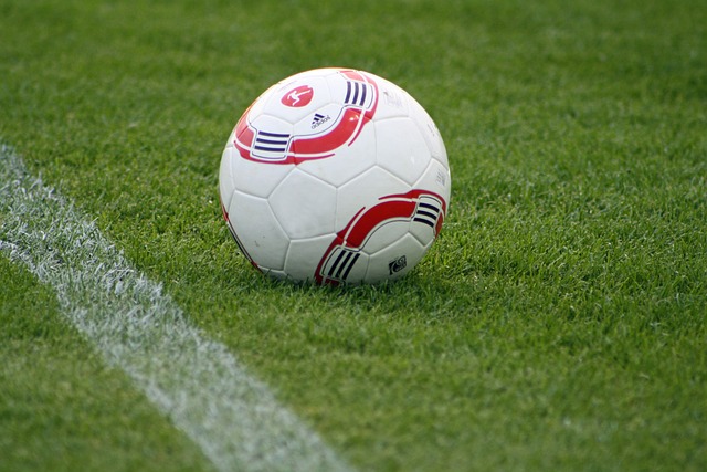 名单的情况 名单的情况